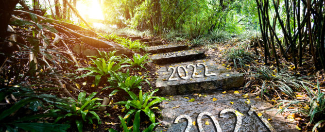 forest path with steps saying 2021, 2022, etc.