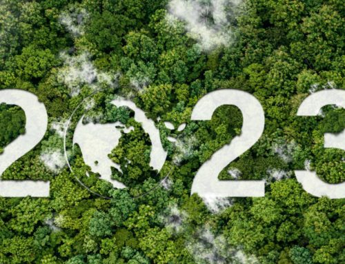 New Year! New Leaders! New Projects to Save the World!
