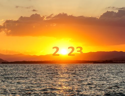 2023 Map: Join SF Bay PSR this year! Help us to save the world!