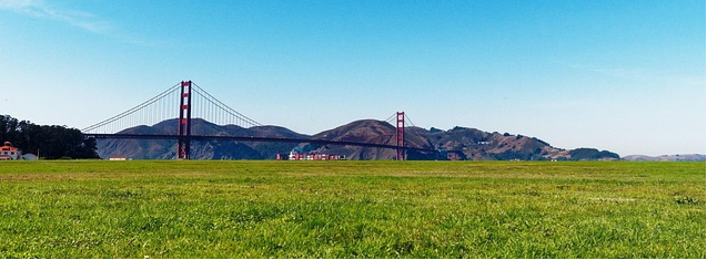 Golden Gate Bridge and grass